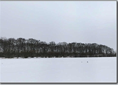 Aero-Club Bad Oldesloe wintergrau